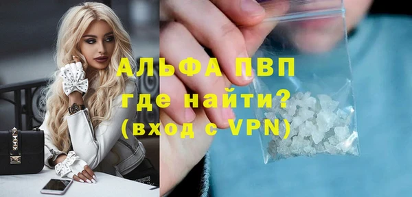 молекула духа Надым