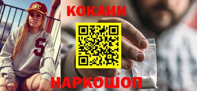 стаф Гай