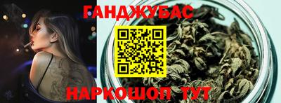 стаф Гай