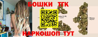 стаф Гай