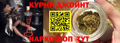 стаф Гай