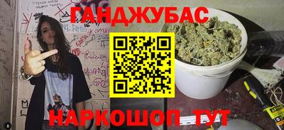 стаф Гай
