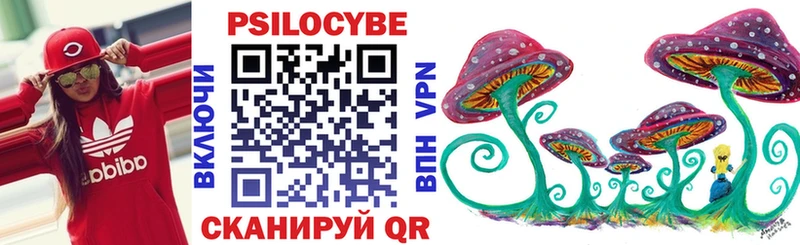 Псилоцибиновые грибы мухоморы  купить наркотик  Красноярск 