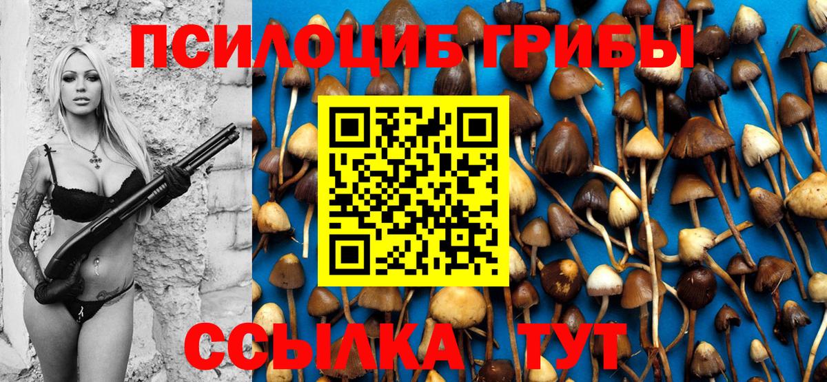 Псилоцибиновые грибы мухоморы Красноярск
