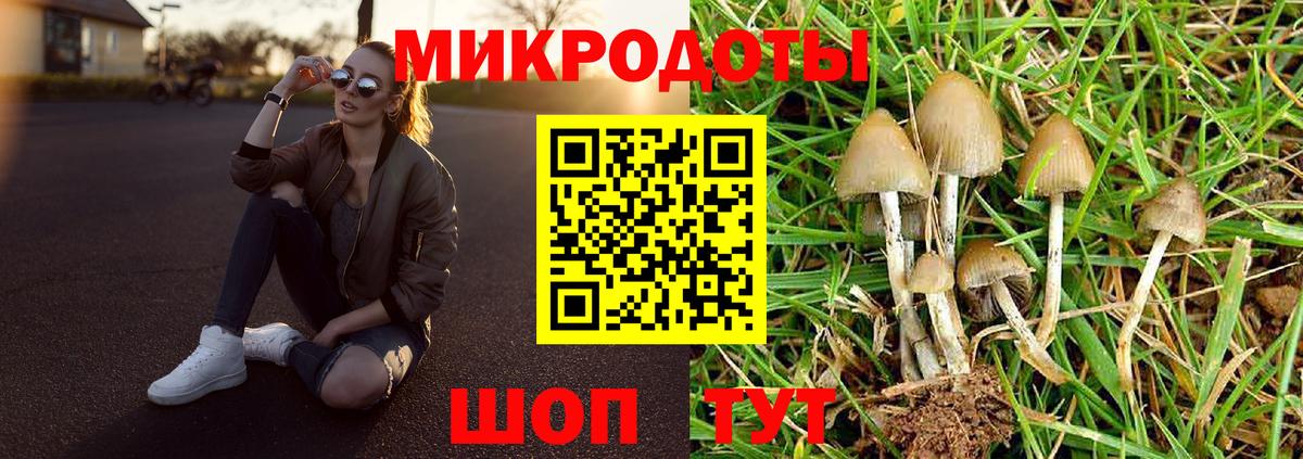 Галлюциногенные грибы Magic Shrooms  сколько стоит  Красноярск  Вход с VPN 